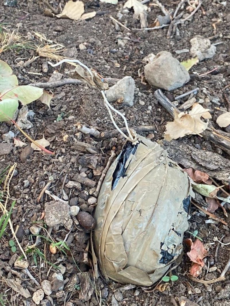 Teğmen İsmail Can AKDENİZ Operasyonu Başlatıldı