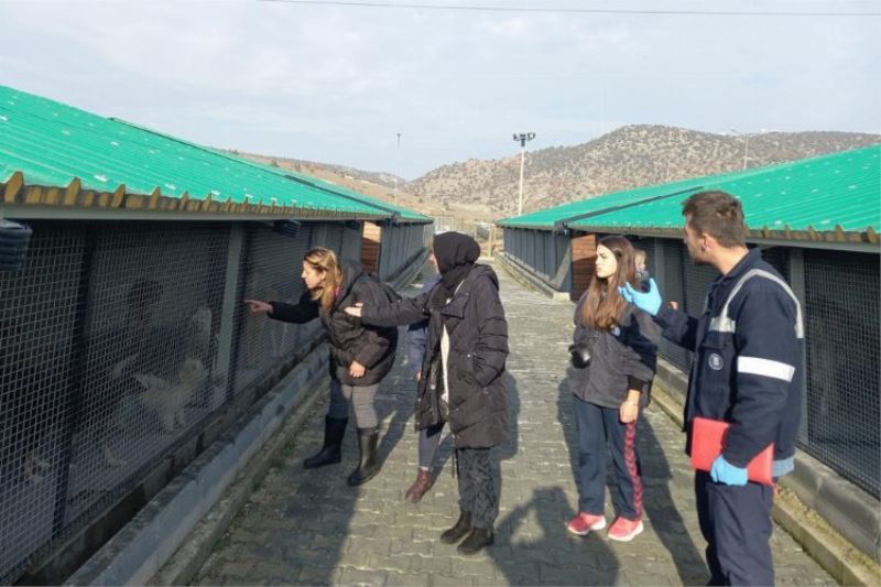  Sokak Hayvanları Bakımevi