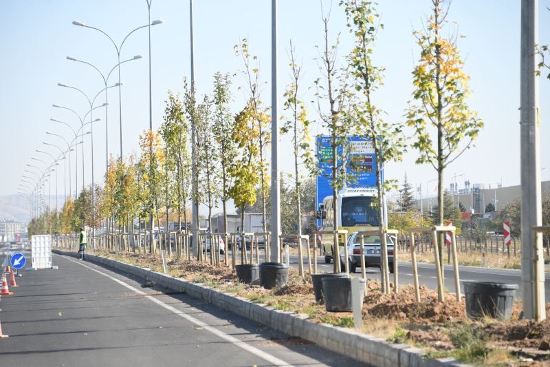 AKSARAY 200 BİN AĞAÇ HEDEFİNE DOĞRU İLERLİYOR