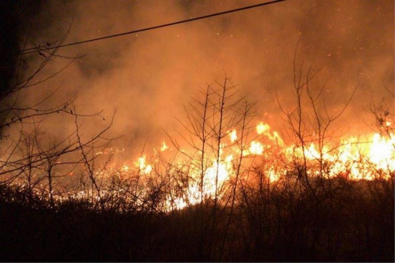 Ormanları temizlik diye yakmayın
