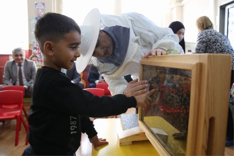 Arıların dünyasına 