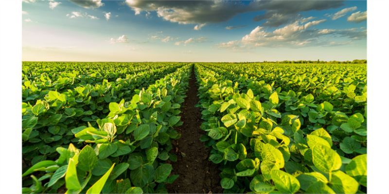 Topraklarının Korunması Ve Genişletilmesi İçin Çalışılıyor
