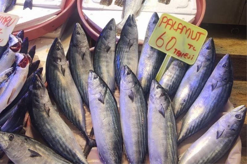 Balık Tezgahlarında Çeşitler Arttı