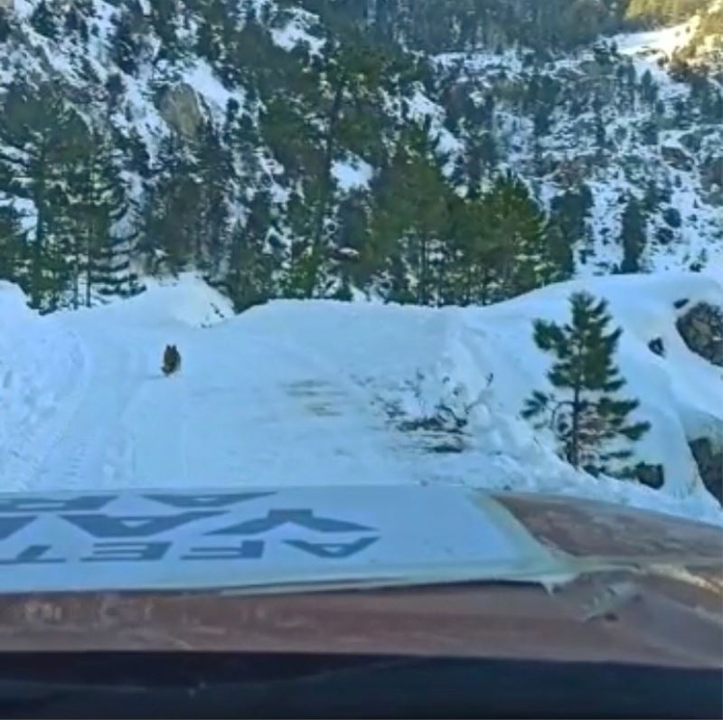 Can dost ekiplere yolu gösterdi