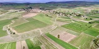  “Deprem arsaya ilgiyi artırdı!”