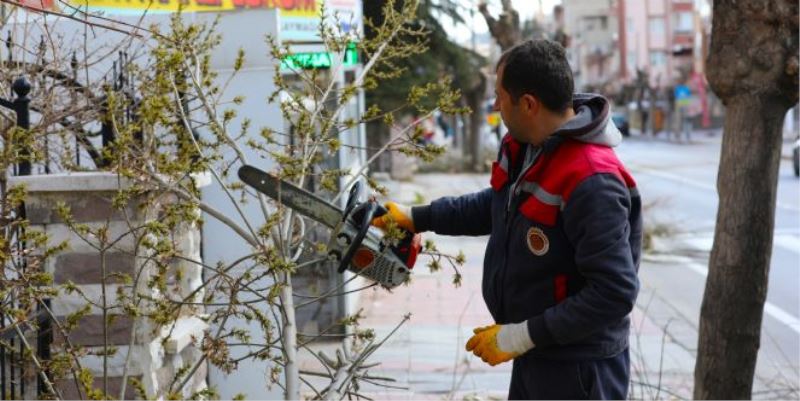 AFYONKARAHİSAR´I BAHARA HAZIRLIYORUZ