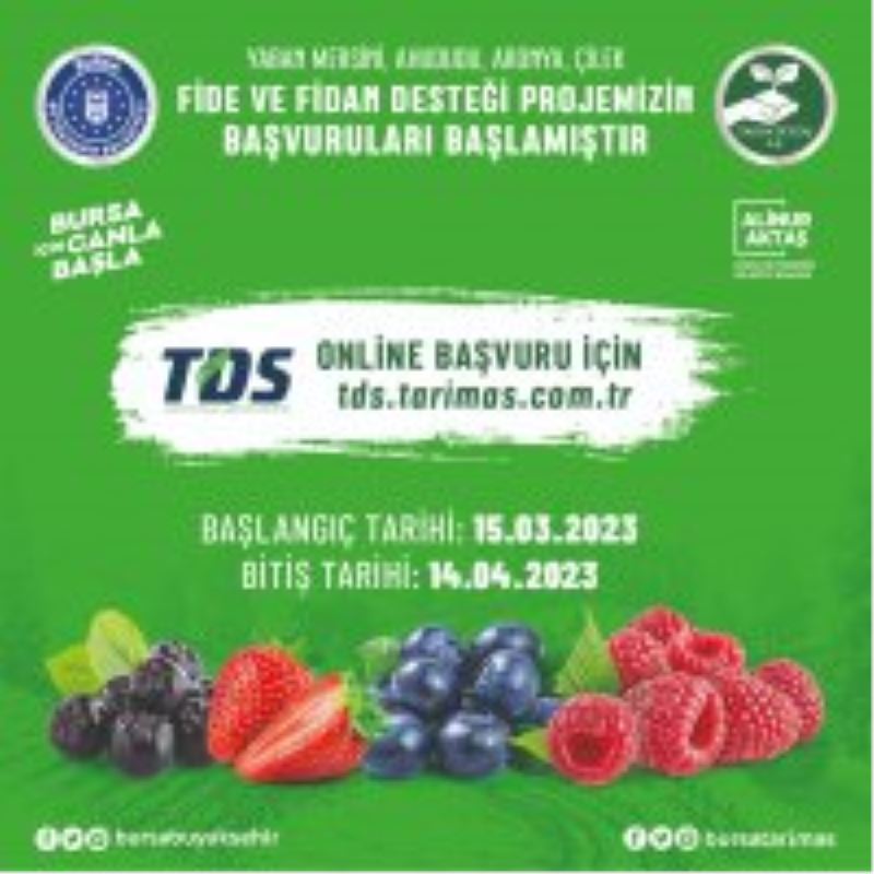 Hibeli fide fidan başvuruları başladı