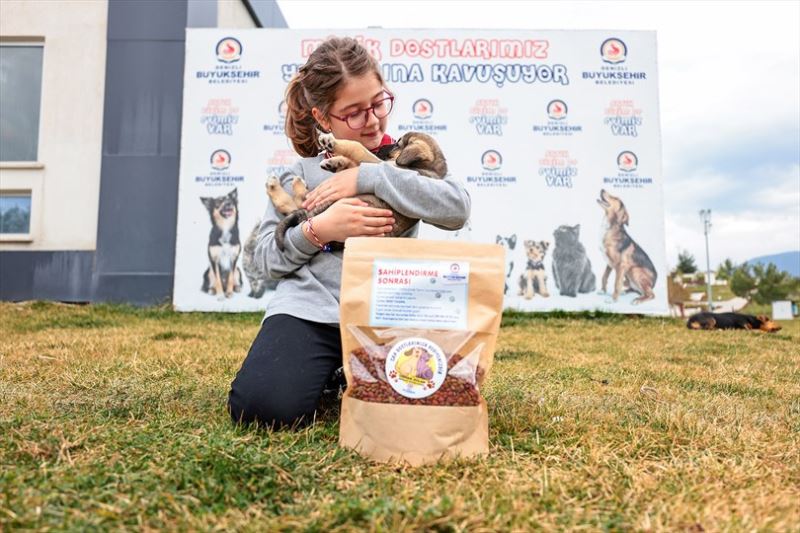 Büyükşehir ile can dostlar da, hayvanseverler de çok mutlu