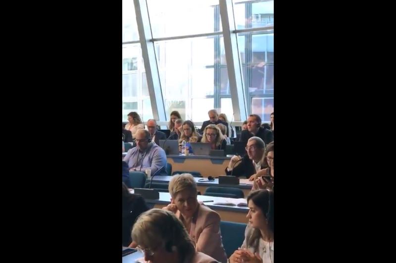 Vergili, Slovenya’da Yapılan Yerel Seçimlerle İlgili Görüşülen Rapor Hakkında Söz Aldı