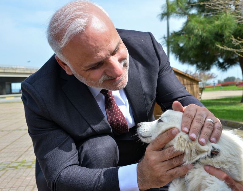 BÜYÜKŞEHİRDEN SAHİPSİZ CANLARA ÖZEL ETKİNLİK