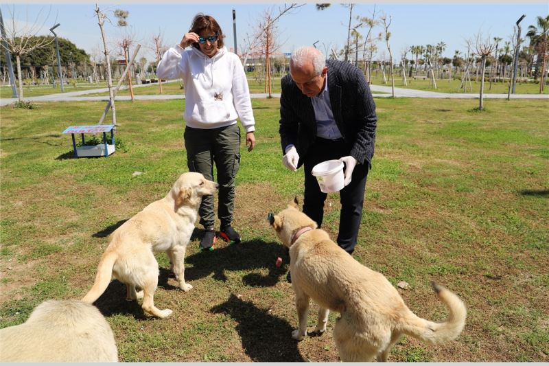 AKDENİZ BELEDİYESİ’NDEN ‘CAN DOSTLAR’ İÇİN ÖZEL ETKİNLİK