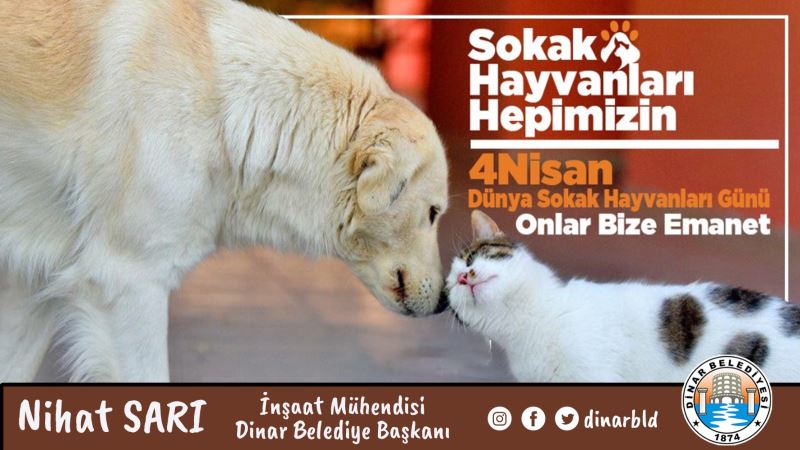 Belediye Başkanımız Nihat Sarı’dan Sokak Hayvanları Günü Mesajı