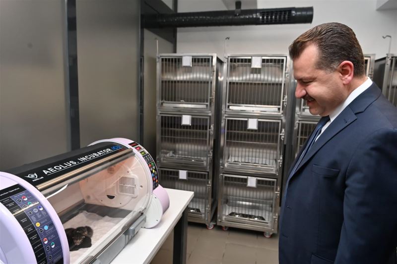 Büyükşehir Sokak Hayvanlarının Yanında