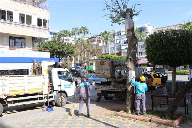 DOĞA MİRASI AĞAÇLARA BAKIM VE REHABİLİTASYON ÇALIŞMALARI DEVAM EDİYOR