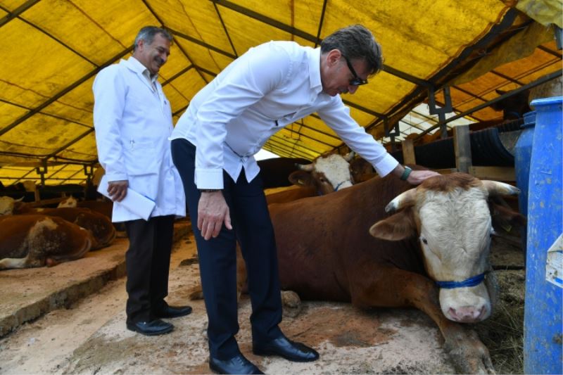 BAHÇELİEVLER’DE KURBAN BAYRAMINA HAZIR