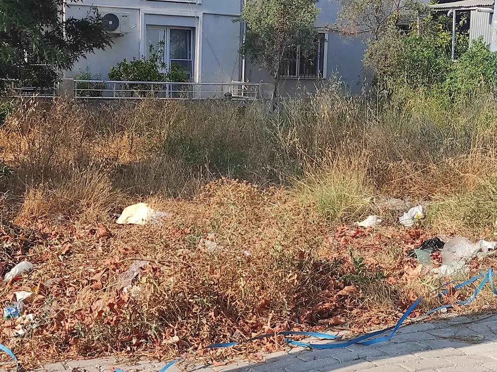  KURU OTLAR TEHLİKE SAÇIYOR