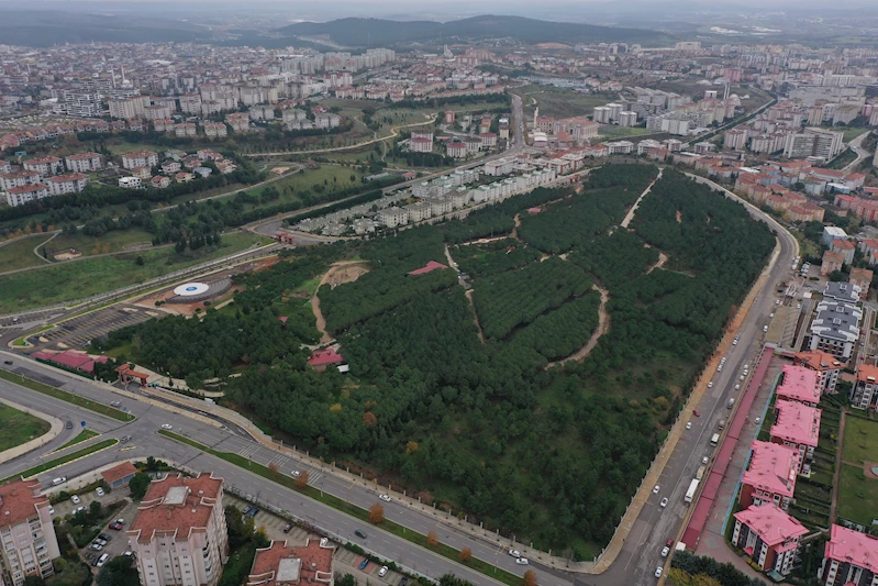 Pendik Korusu Hizmete Girdi