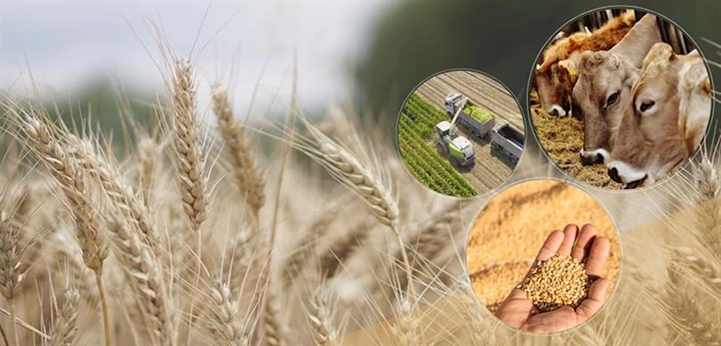 9,3 MİLYAR LİRALIK TARIMSAL DESTEKLEME ÖDEMESİ BUGÜN HESAPLARA AKTARILACAK