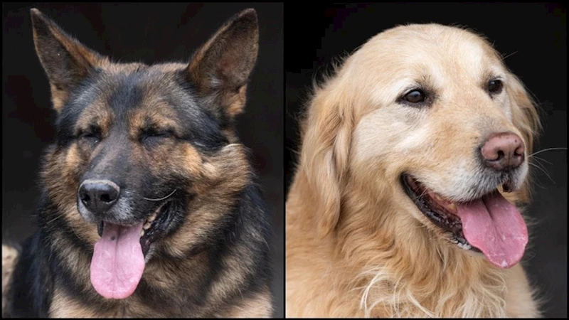 6 Şubat Depremlerinde 14 Canı Kurtaran 