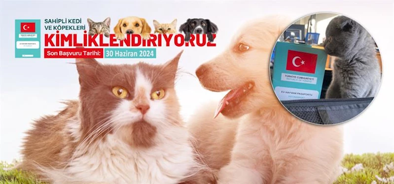 KEDİ VE KÖPEKLERİN KİMLİKLENDİRME İŞLEMLERİNDE BEYANNAME İLE BAŞVURU YAPAN HAYVAN SAHİPLERİ İÇİN SON GÜN 30.06.2024