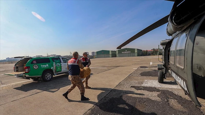 Yaban Hayatı İçin “ÇELİK KANATLAR