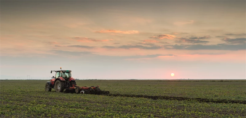 DEPREM BÖLGESİNDEKİ ATIL TARIM ARAZİLERİ FİDE VE TOHUM DESTEĞİYLE ÜRETİME KAZANDIRILIYOR