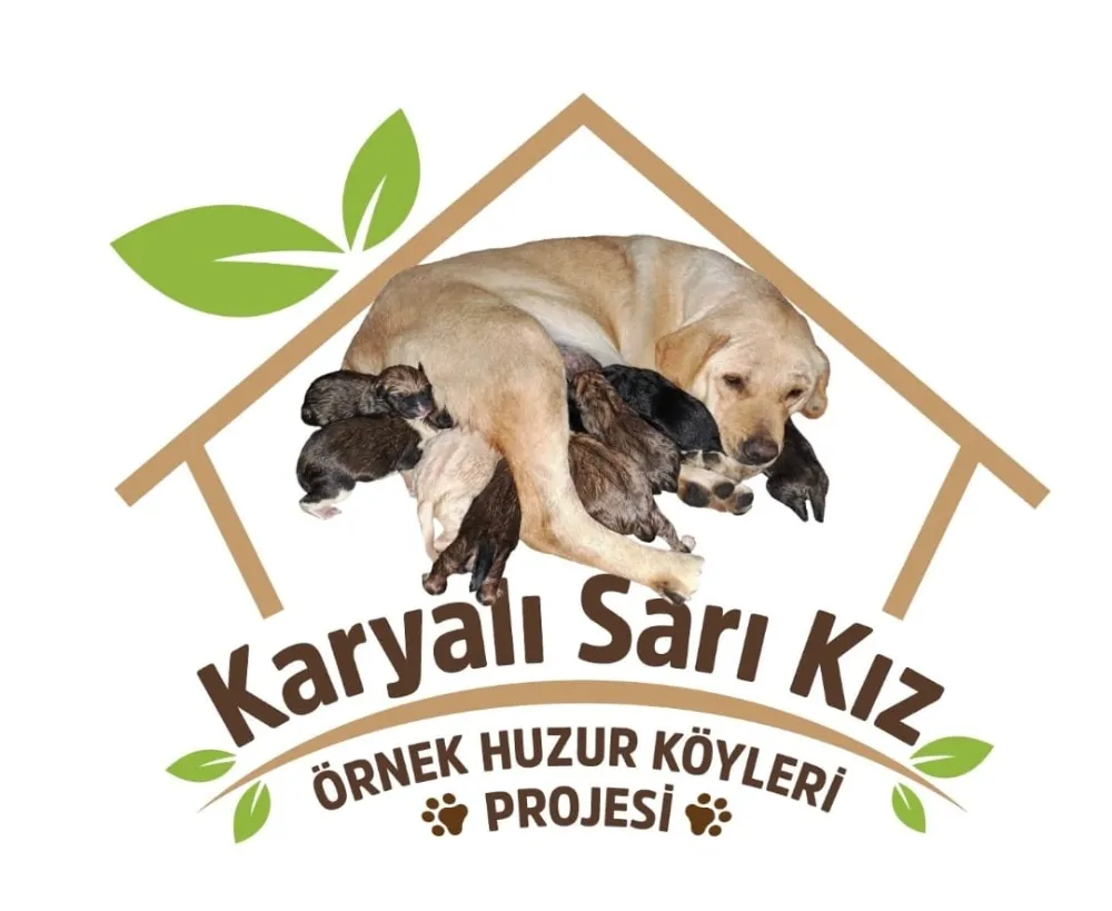 KARYALI SARI KIZ PROJESİ YENİ BİR UMUT OLDU