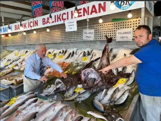 Dev fener balıkları görenleri hayrete düşürdü