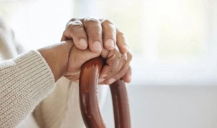 YADES 2025 Başvuruları Alınmaya Başlandı