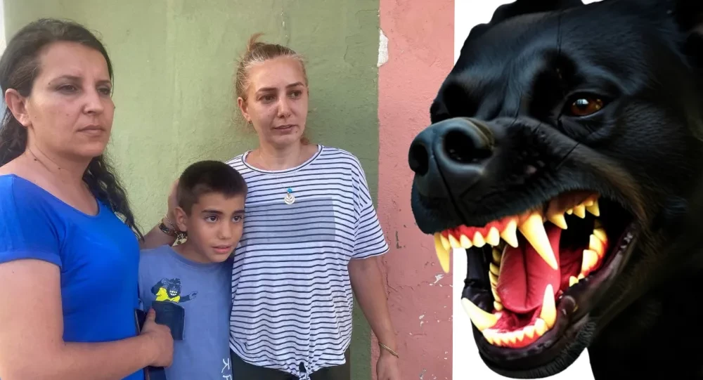 Saldırgan Köpeğin Sahibi Dehşeti Yaşattı