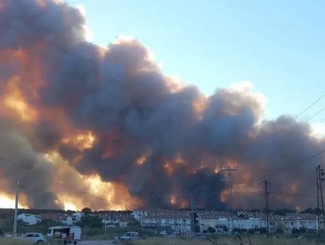 Enez’de Orman Yangını Nedeniyle Tahliyeler Yapılıyor