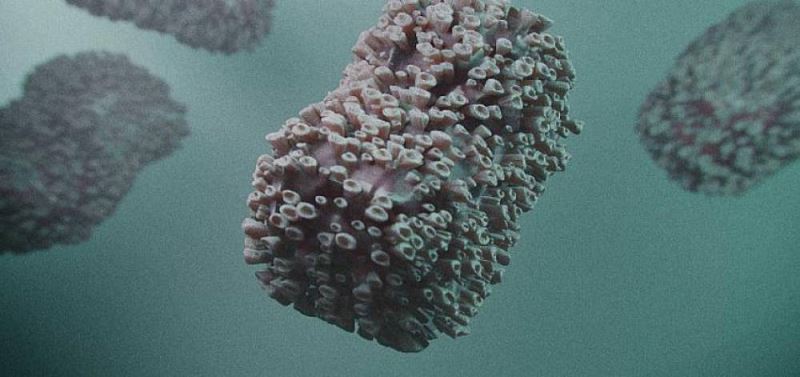 Cinsel Hastaliklarda Tedavi Stratejisini Tani Belirliyor