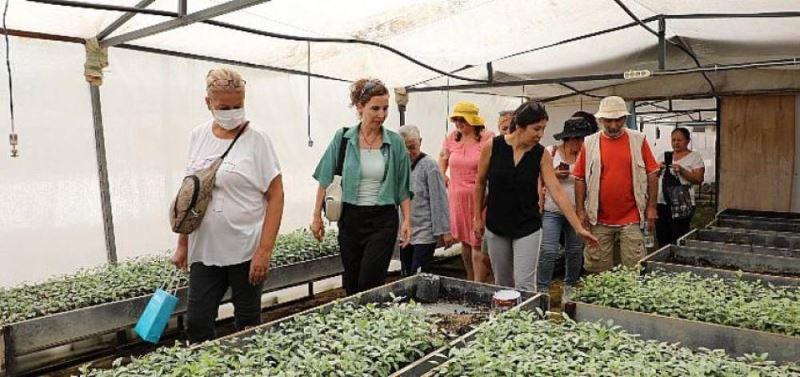 Tibbi aromatik bitkiler kursuna yogun ilgi