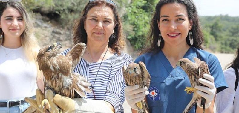 Tedavi edilen yirtici kuslar dogaya birakildi