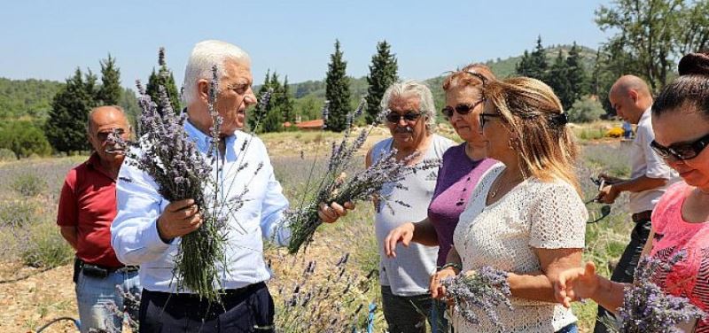 Kadin Üreticilere 97 Bin 500 Adet Tibbi Aromatik Fidani Dagitildi