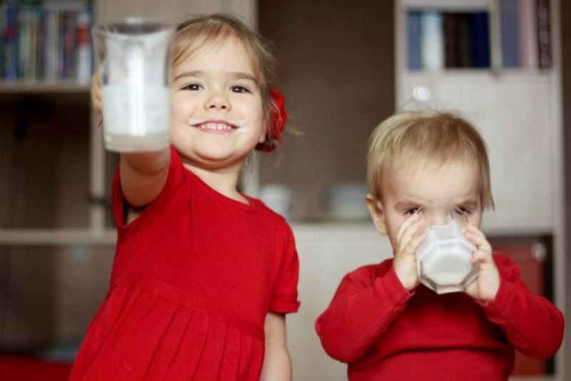 Inek sütü alerjisine 