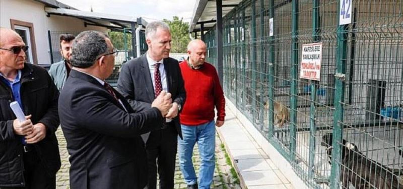 “Hayvanlari Sokaga Terketmeyin, Barinagimiza Getirin”
