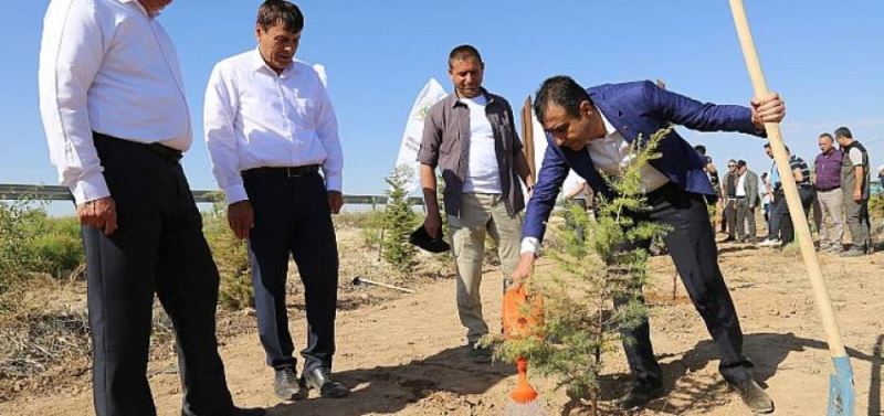 15 Temmuz Sehitleri Için Fidan Dikimi Gerçeklesti
