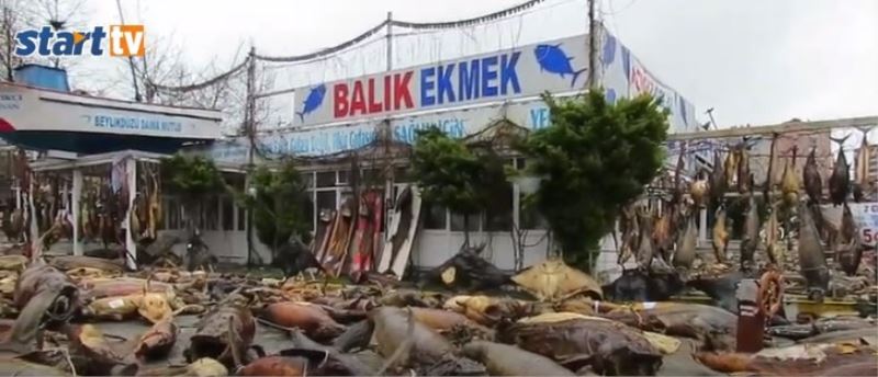 Imamoglu terörü müzeyi yikti