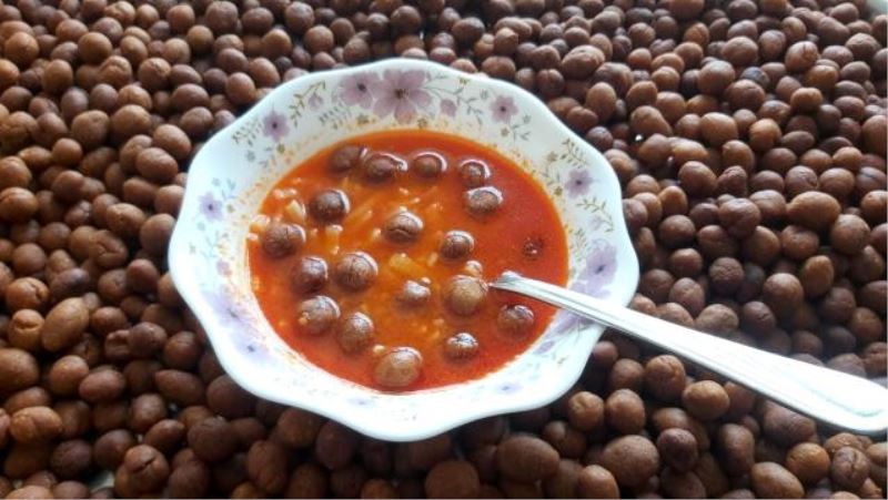 Karya Farma HBX Ar-Ge Stratejik Ürünleri Türk Dünyasina Görücüye Çikiyor