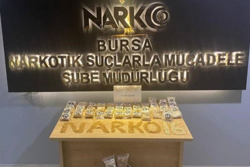 Bursa
