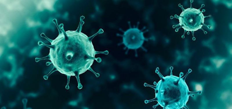 Covid-19 sonrasi kalbe ve akcigerlere dikkat