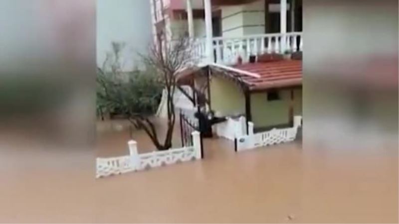 Bakan Koca