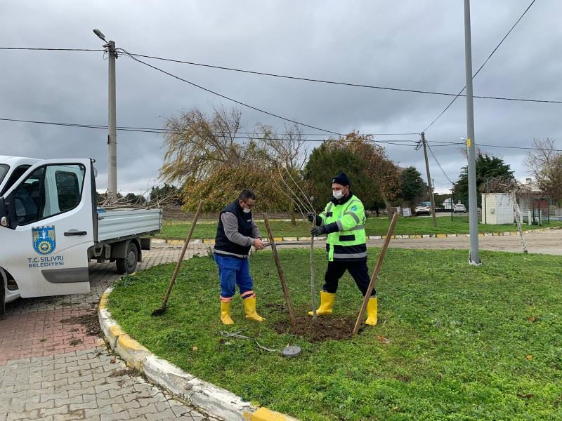 2 BIN 500 ADET AGAÇ TOPRAKLA BULUSACAK | silivri.bel.tr