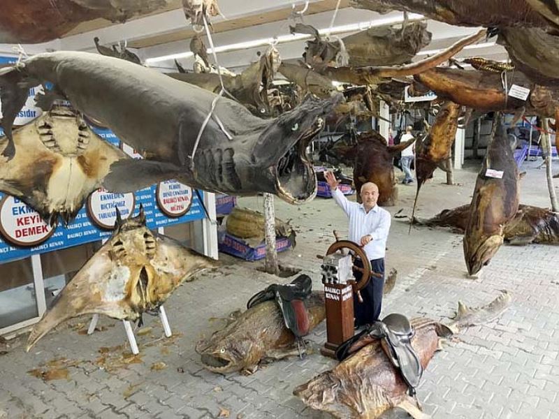 Balikçi Kenan Balci: Balik yiyin, içinde katki maddesi olmayan tek besin kaynagidir