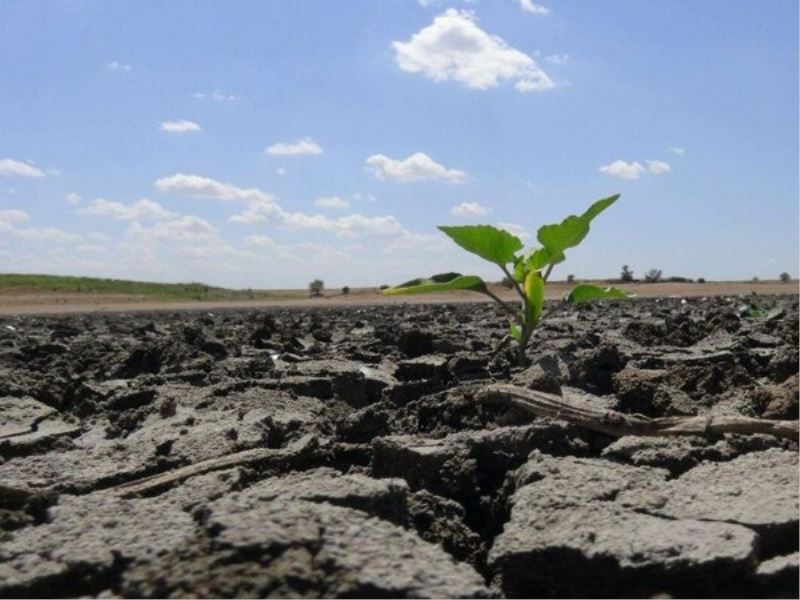 Nanaz sonrasi camilerde yagmur duasi edilecek