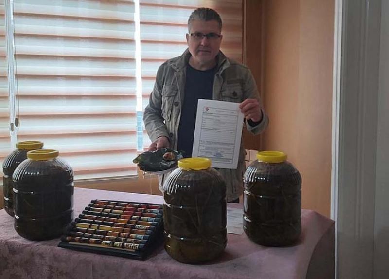 Hastane Enfeksiyonu MRSA Incir Yapragina Tus Oldu